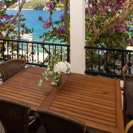 Guest house Nikola 3*