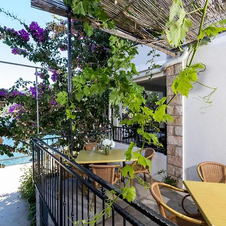 Nikola Guest house Zastrazisce